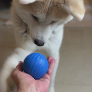 כדור חטיפים אינטראקטיבי EnrichPaws™