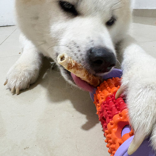EnrichPaws™ Treat & Chew Roller